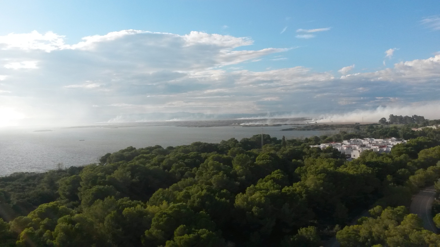 161014-1800_quema_paja-ilegal-en-la-albufera